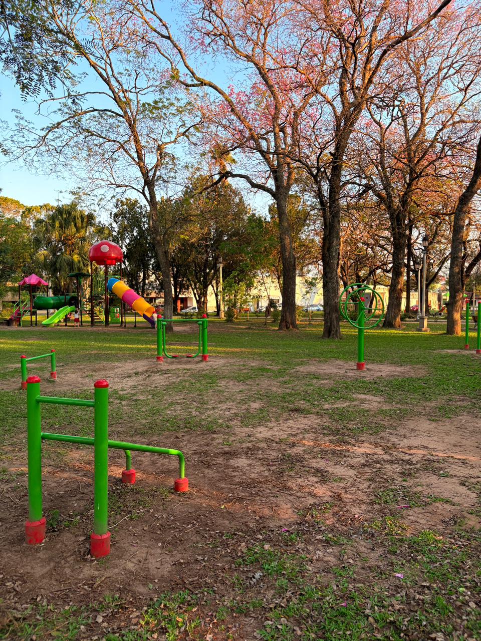 Plaza San Martín Vista 2